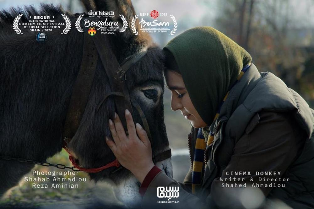 سحر صباغ سرشت در فیلم سینمایی «سینما خر»